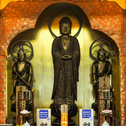 薬師如来 / 十二神将